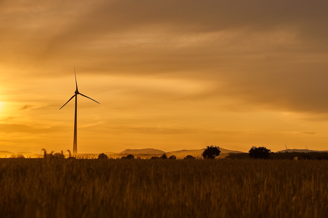 discover the benefits of eco-friendly living and learn how to make sustainable choices for a healthier planet. explore tips, products, and practices that promote environmental responsibility.