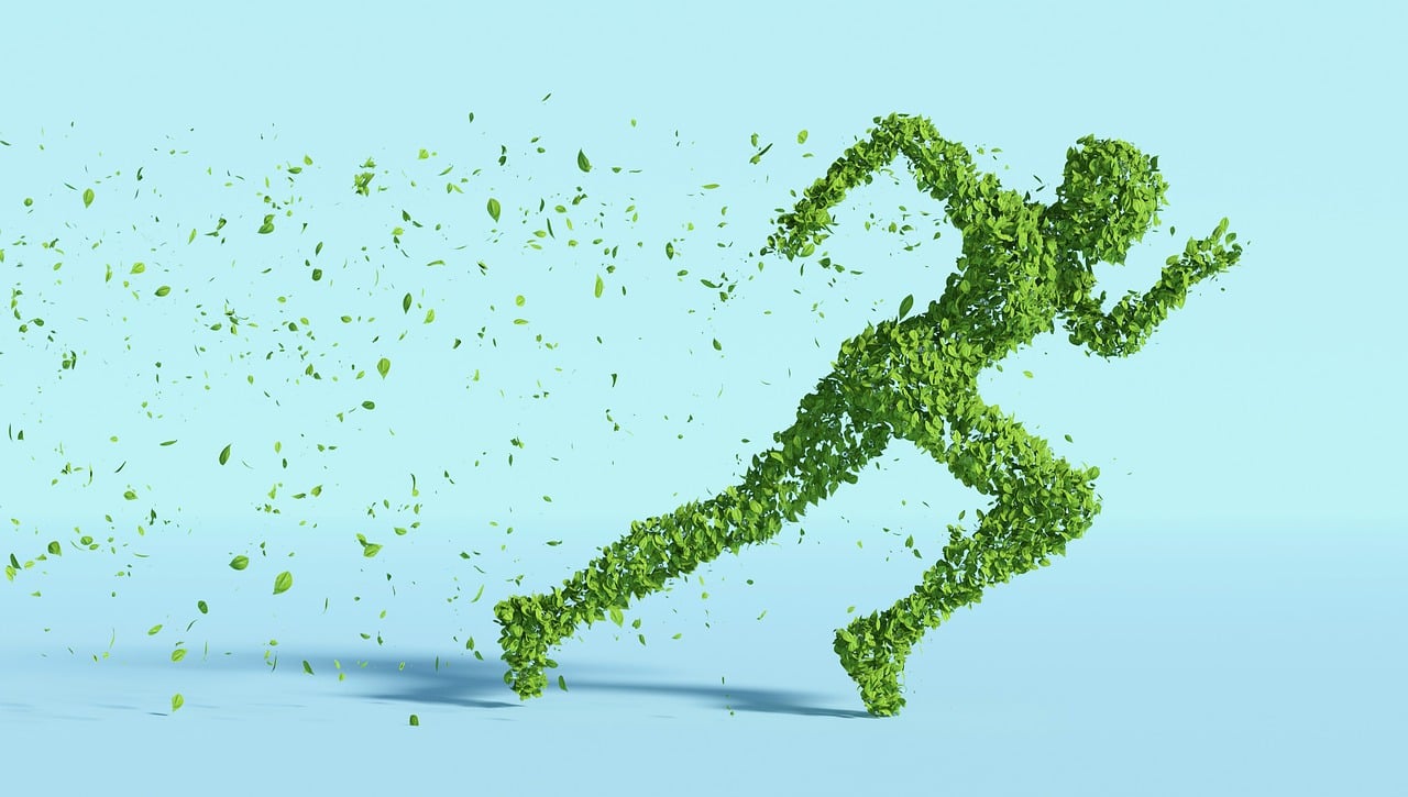 explore the importance of sustainability in today's world, focusing on eco-friendly practices, renewable energy sources, and innovative solutions that promote a healthier planet for future generations.