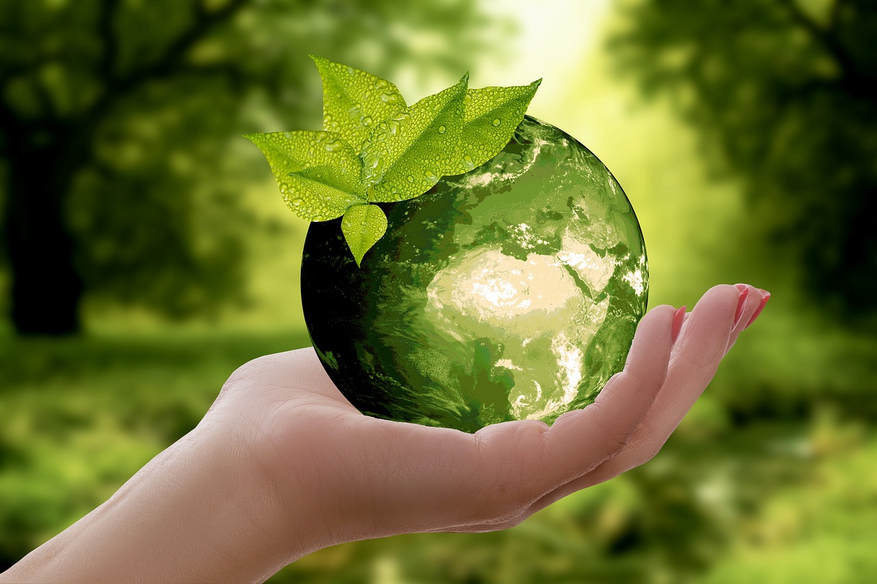 discover the importance of sustainability in today's world. explore innovative practices and solutions that promote environmental conservation, social equity, and economic viability for a better future.